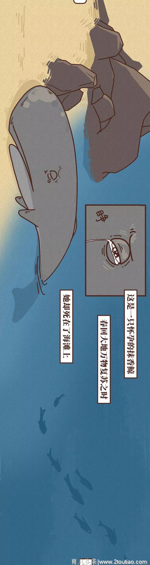 一位怀孕妈妈非正常死亡全过程（横屏观看）