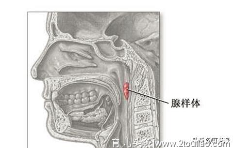 专家：孩子打呼噜会影响智力，家长找准这3个原因才能迅速治疗