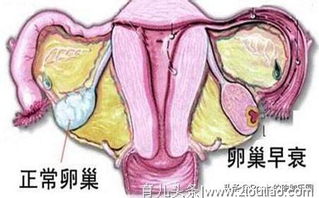 要备孕好焦虑，不喝酒、戒熬夜就行？备孕爸妈更应该做这些