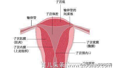 要备孕好焦虑，不喝酒、戒熬夜就行？备孕爸妈更应该做这些