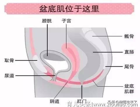 产后漏尿走不出家门，顺产女性都无法逃过这一劫吗?