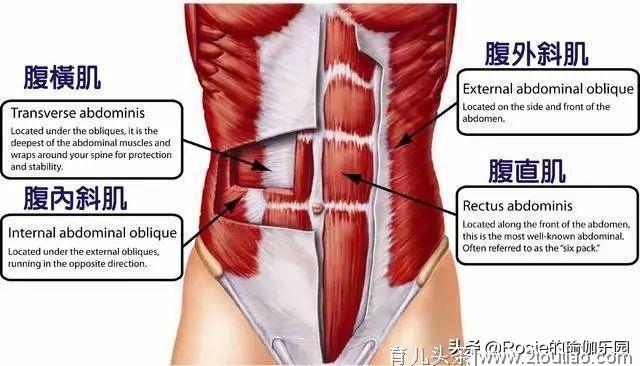 不加班，不熬夜，准备做妈妈，维密私教教你如何科学备孕