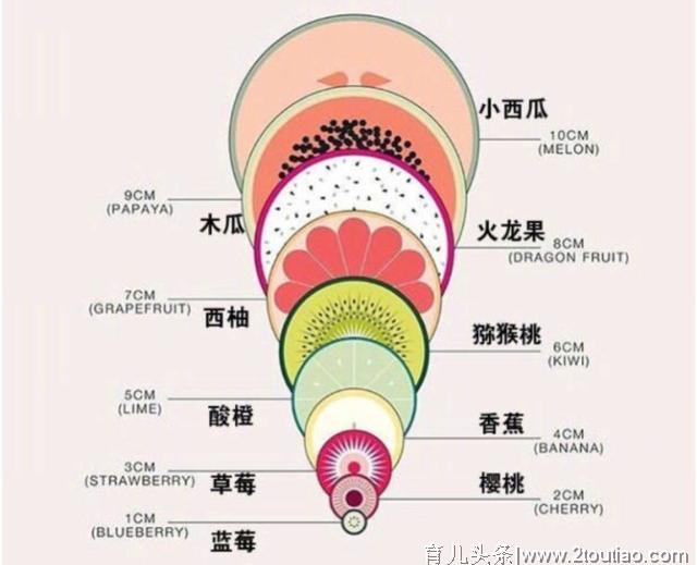 产妇顺产“开十指”是什么概念？这张对比图帮你看懂，心里有点数