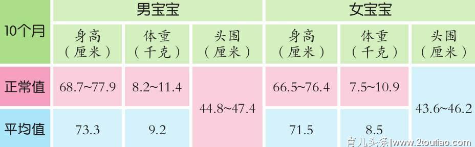 你家宝宝发育正常吗？10-12个月宝宝发育数据详细参考！