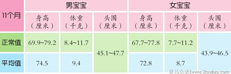 你家宝宝发育正常吗？10-12个月宝宝发育数据详细参考！