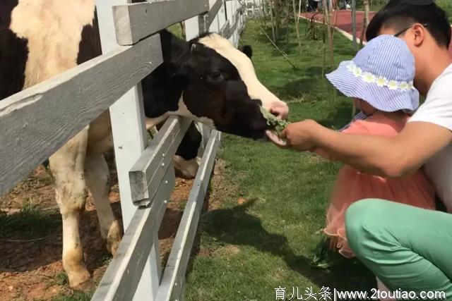 新去处！成都周边这7个亲子农场，满足你的户外出游！五一走起