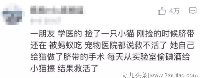 千万别笑，我大学专业是母猪的产后护理与调养