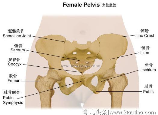 你和蜜桃臀的距离，还有多远？