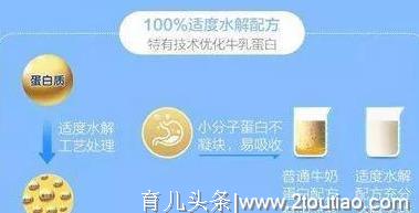 深度水解、适度水解和氨基酸奶粉，是什么？齐扬金贝康告诉你！