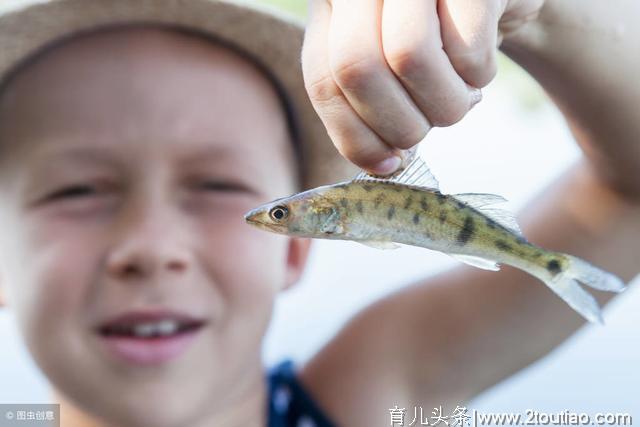 怎样给宝宝添加鱼类辅食？这几种鱼一定要少吃！