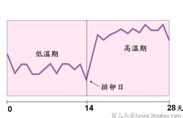 若你正在备孕，你要知道怀孕的早期信号有哪些