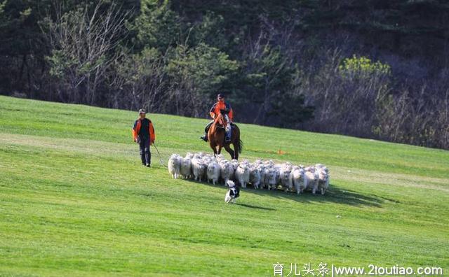 假期来啦！亲子家庭出游何不来三寰牧场，体验“牧场人的一天”