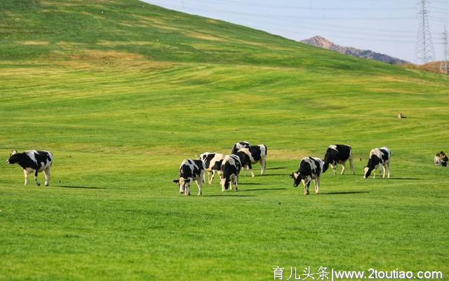 假期来啦！亲子家庭出游何不来三寰牧场，体验“牧场人的一天”