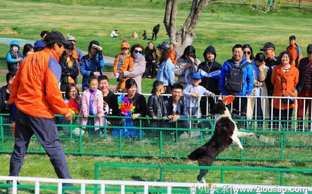 假期来啦！亲子家庭出游何不来三寰牧场，体验“牧场人的一天”