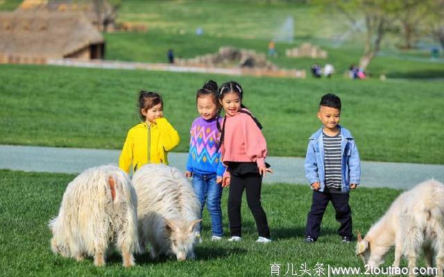 假期来啦！亲子家庭出游何不来三寰牧场，体验“牧场人的一天”