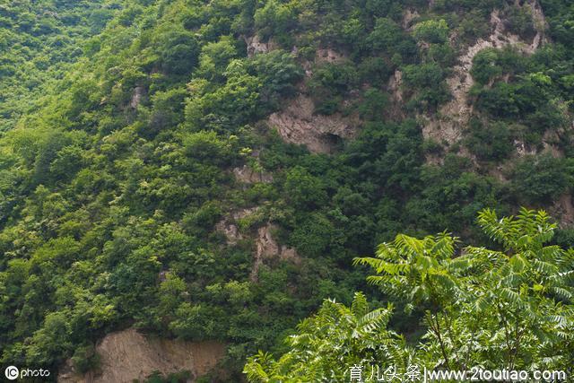 五一怎么玩？4条游山玩水亲子浪漫旅游线路送给你，爱咋玩就咋玩