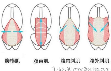 产后腹直肌分离危害大，自测严重程度，早锻炼避免错过最佳修复期