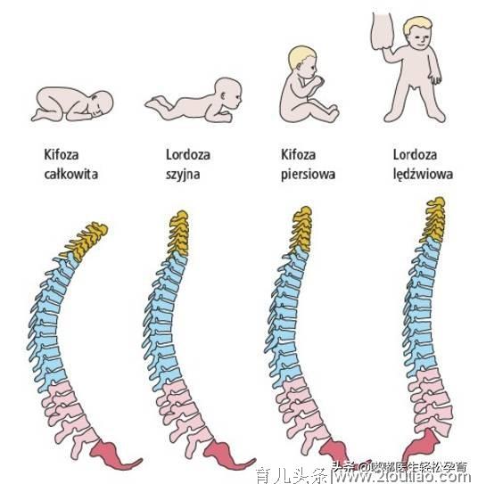 宝宝脊柱很脆弱？竖着抱、用背带、太早坐、睡软床到底有伤害吗？