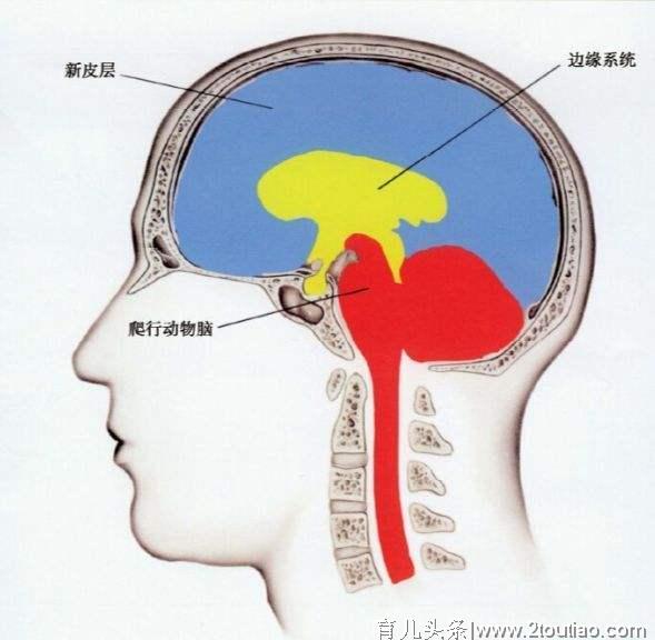 宝宝的情感比智商重要得多，读懂这篇文章可以让宝宝一生幸福