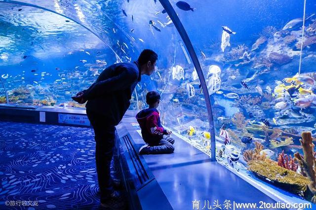 五一带娃旅行，日照的海边小城市的周末亲子时光