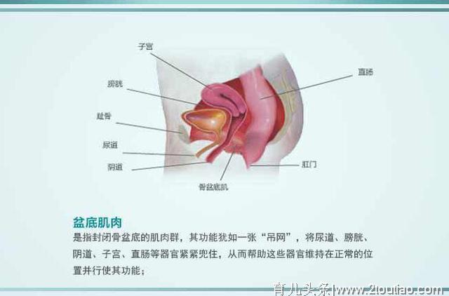 要想坐月子脱胎换骨，9个禁忌别胡来，中招一条，月子白废还遭罪