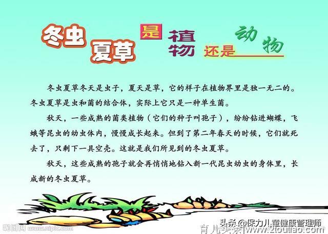 两岁半，十万个为什么难到爸妈，智慧父母喊你补课了