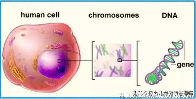 结肠癌十万个为什么？你想知道的这里都有