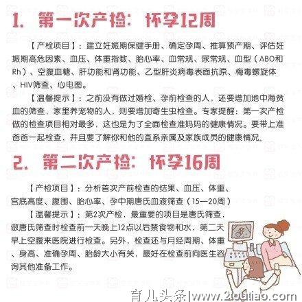 孕期280天的各个详细检查要点