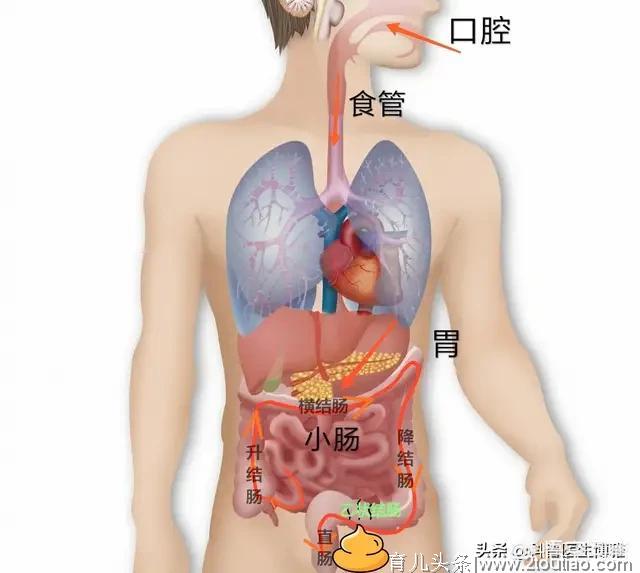 600个幼儿园保健医PK市妇幼医生的十万个为什么，对话太搞笑了