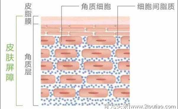 什么是婴幼儿湿疹（特应性皮炎），为什么会反反复复？