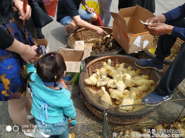 五一小长假不知道去哪儿玩？带着孩子赶大集，体验城市农村大不同