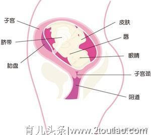 孕妈怀孕第二十二周  体重的增加都是爱的负重