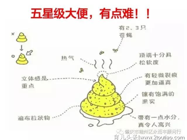 屎说（1）有一种父母之爱叫：愿闻其“翔”----婴幼儿大便详解