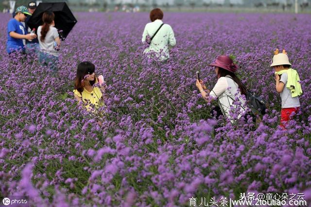 五一小长假：亲子旅游风尚“打卡地”