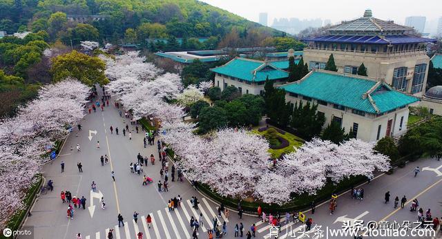 五一小长假：亲子旅游风尚“打卡地”