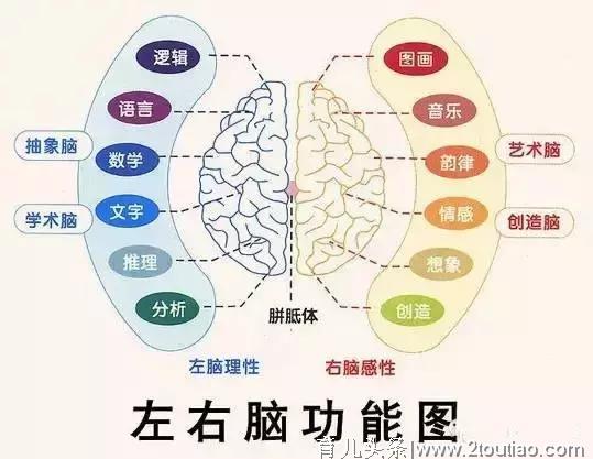 幼儿阶段智力开发“神器” 珠心算，让孩子受益传统文化