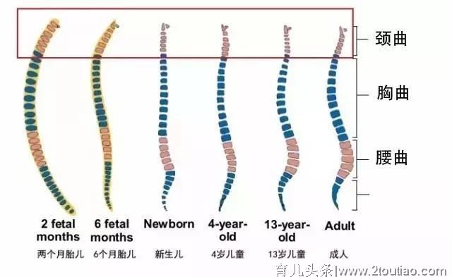 宝宝多大需要用枕头？担心孩子睡偏头做到3点不用愁