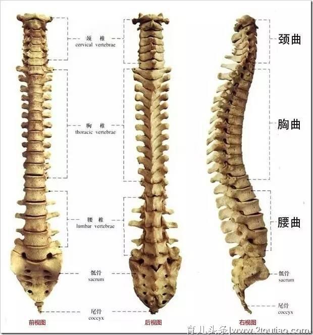 宝宝多大需要用枕头？担心孩子睡偏头做到3点不用愁