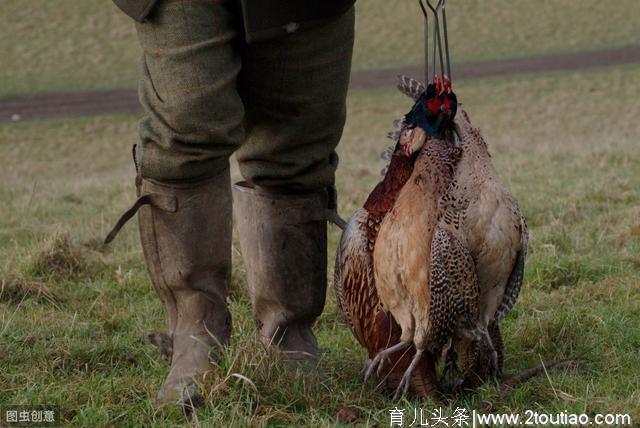 我们能送给孩子、可保障他们一生幸福健康的，就是阅读。