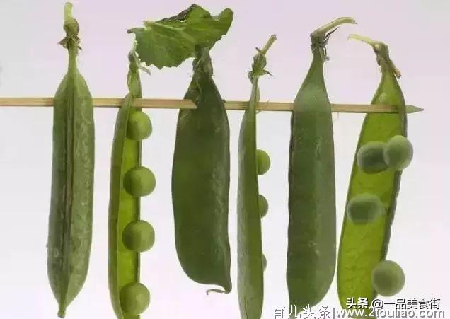 10大催奶佳品：下奶不发胖，宝宝智商高