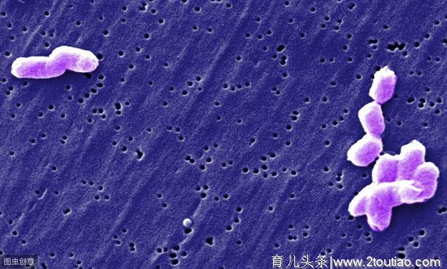 给宝宝冲奶粉水温多少度更科学？不是40度，也不是50度