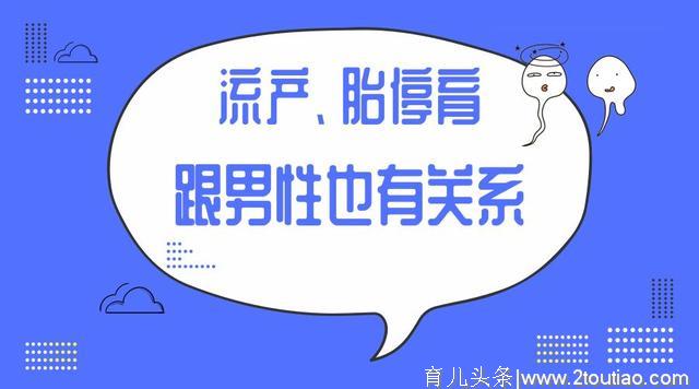 流产、胎停育是女性的问题？其实跟男性也有关系！