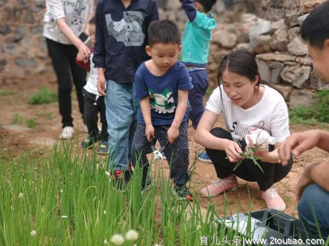 五月去睡京郊柿林深处的山谷小院，登山探险，亲子出游的好去处~