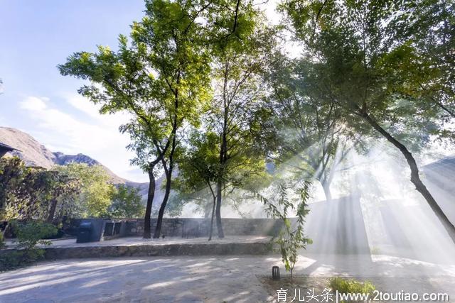 五月去睡京郊柿林深处的山谷小院，登山探险，亲子出游的好去处~