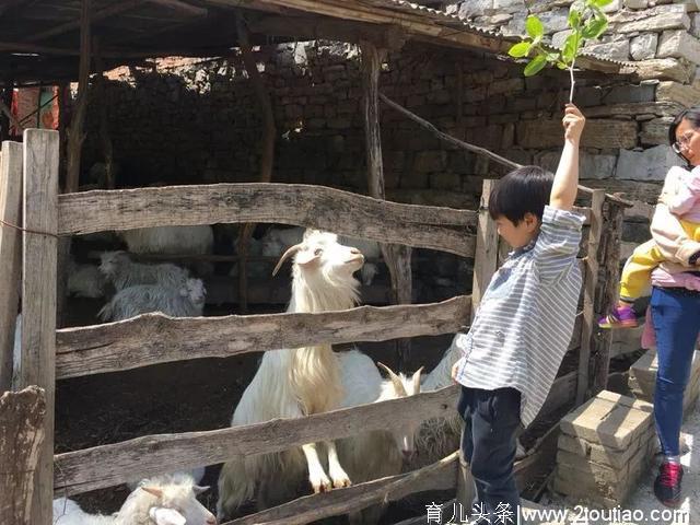 五月去睡京郊柿林深处的山谷小院，登山探险，亲子出游的好去处~