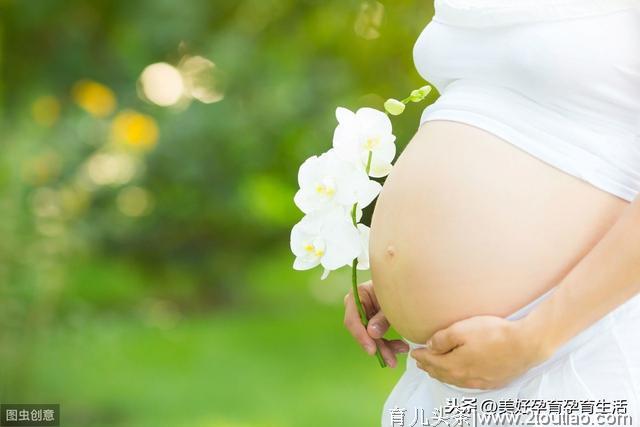 孕妈妈们的夏季超实用“孕期宝典” 美好蕴育