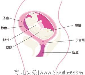 胎教课堂：怀孕第二十八周是孕期的一道坎，孕妈需要注意这些事