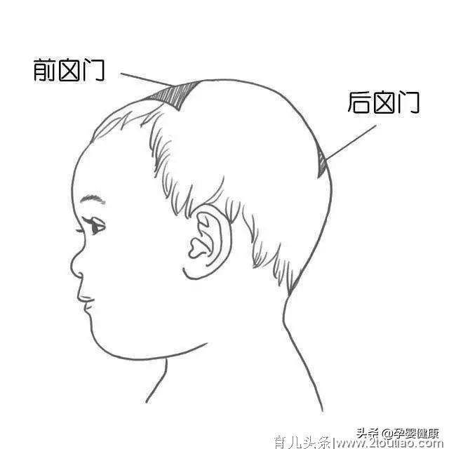 辟谣 || 宝宝越干净越健康?