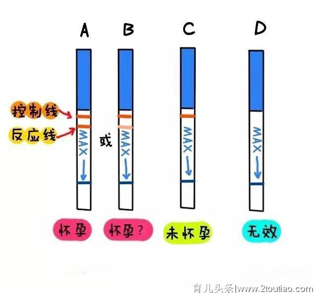 孕早期怎么度过？知识点都在这