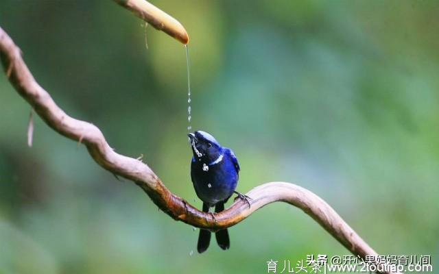 婆婆带娃糙，宝妈：喝对水对婴幼儿很重要，"一喝五不喝"要牢记